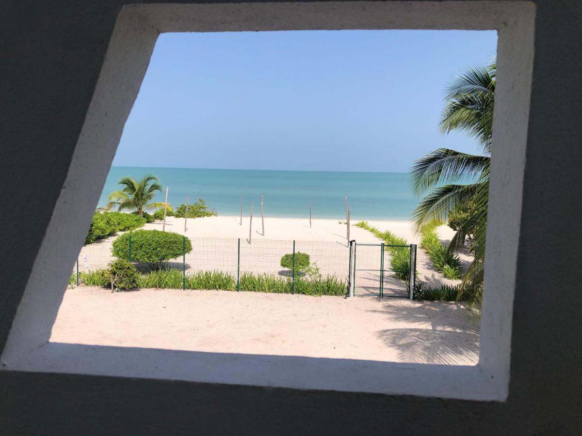 Playa 55 Beach Escape - Adults Only Guesthouse Celestun Exterior foto