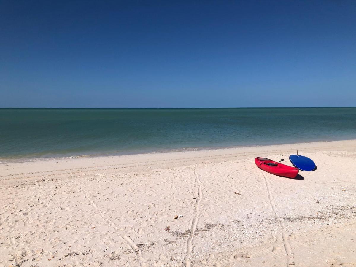 Playa 55 Beach Escape - Adults Only Guesthouse Celestun Exterior foto